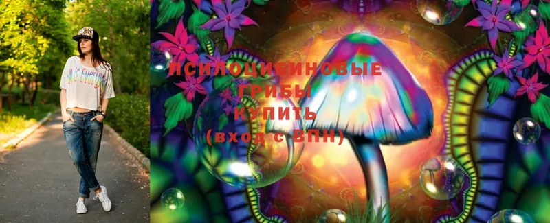 Псилоцибиновые грибы MAGIC MUSHROOMS  Духовщина 